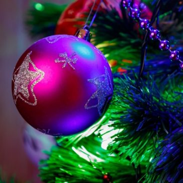 Natale